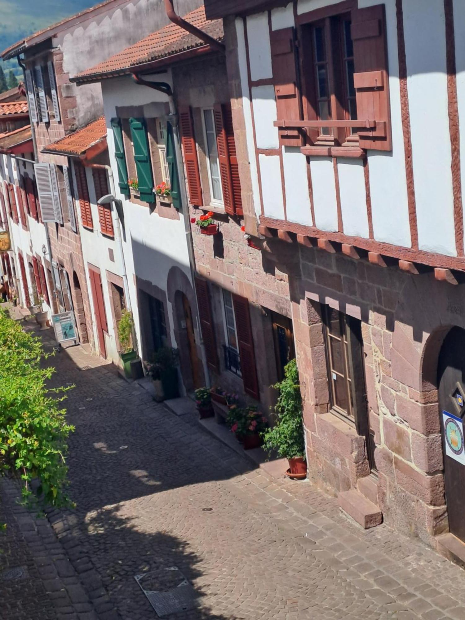 Maison Gohora Dago Saint-Jean-Pied-de-Port Exteriör bild